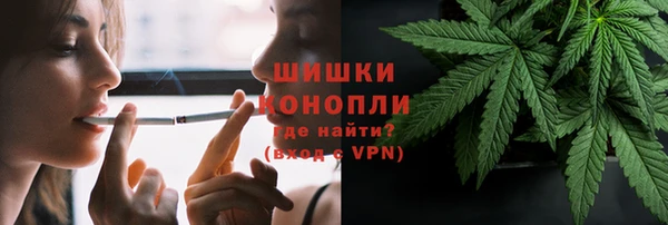 сатива Карталы