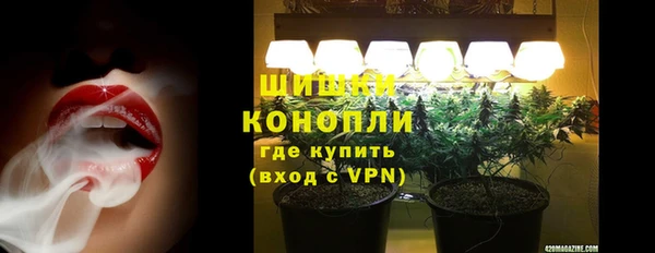 сатива Карталы