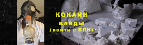 сатива Карталы