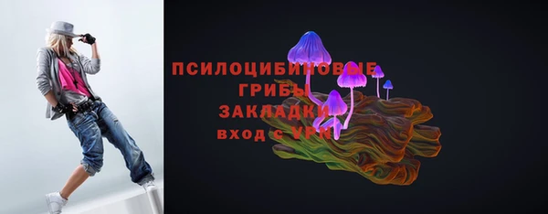 сатива Карталы
