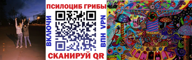 Купить где  Сосенский  Псилоцибиновые грибы Psilocybe 